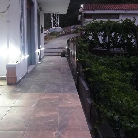 וירפזאר Apartment Kraljica Jelena מראה חיצוני תמונה